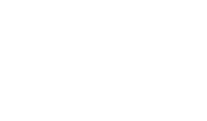 World Trips